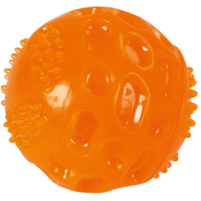 Ball ToyFastic Squeaky