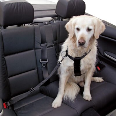 Car Dog Harness