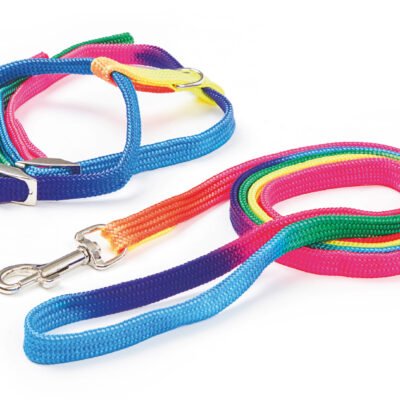 Cat Harness Rainbow